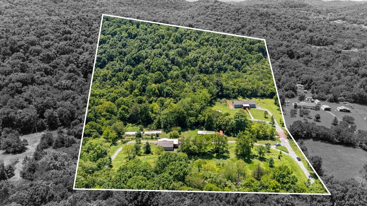 910 Woodmore Hollow Ln - Photo 1