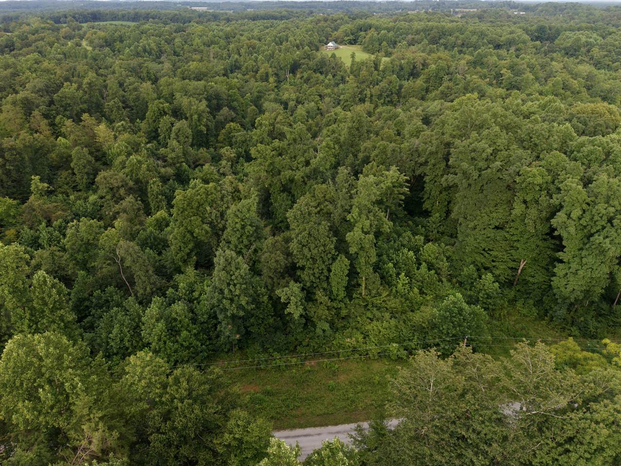 0 Virgil Cross Rd - Photo 1