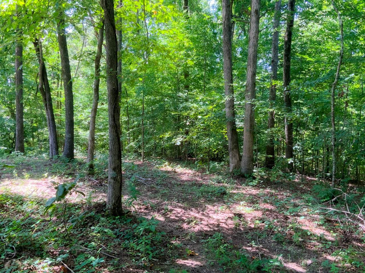0 Deadwood Drive - Photo 1
