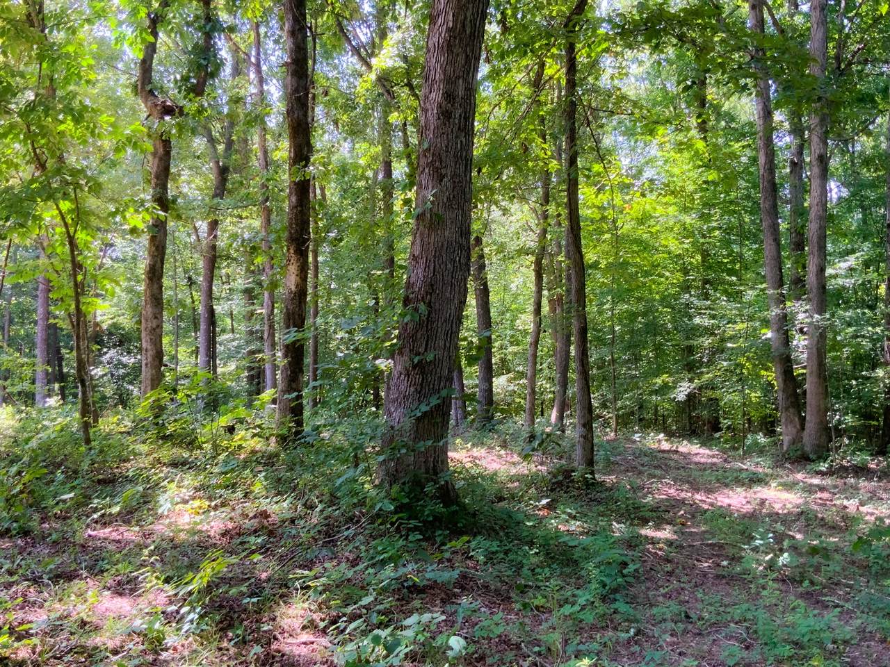https://bt-photos.global.ssl.fastly.net/nashville/1280_boomver_2_RTC3311463-1.jpg