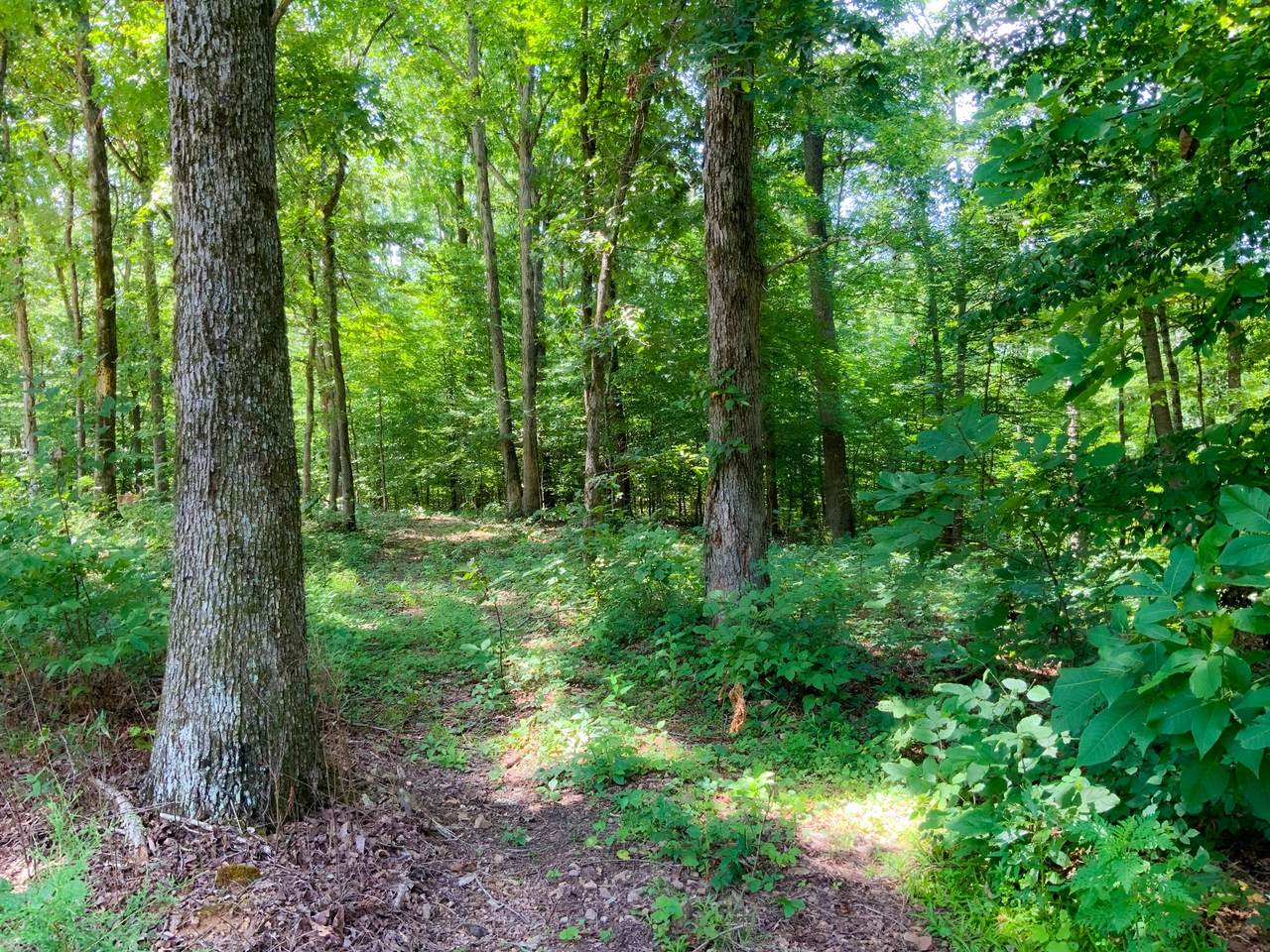 https://bt-photos.global.ssl.fastly.net/nashville/1280_boomver_2_RTC3311463-1.jpg