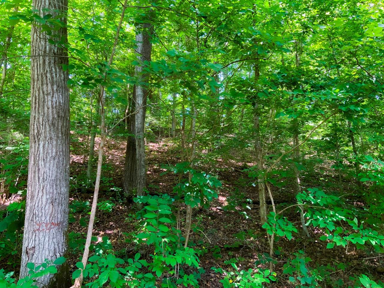 https://bt-photos.global.ssl.fastly.net/nashville/1280_boomver_2_RTC3311463-1.jpg