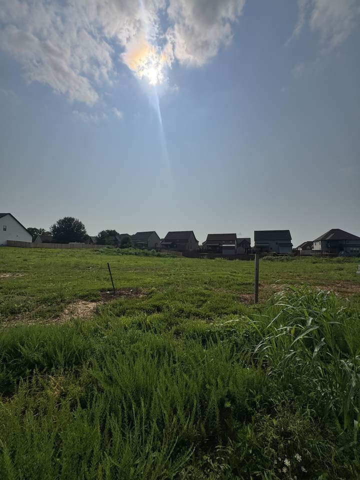 251 Autumnwood Farms - Photo 1