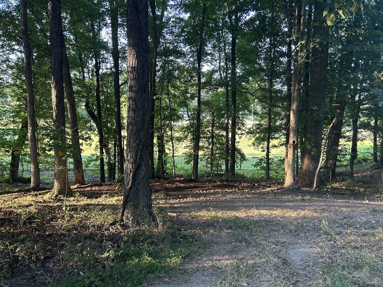 0 Cedar Creek Rd - Photo 1