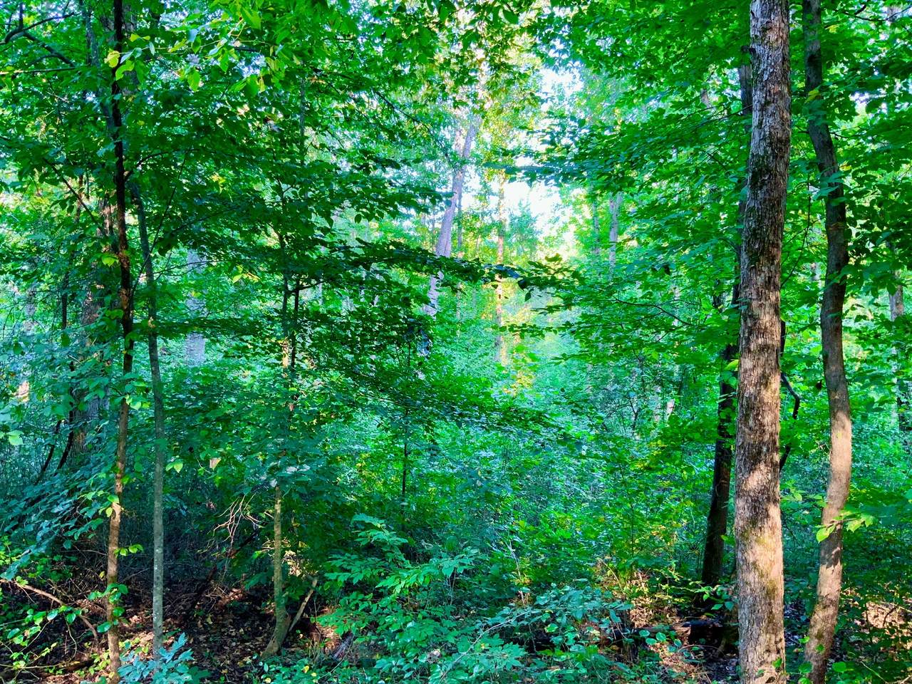 https://bt-photos.global.ssl.fastly.net/nashville/1280_boomver_2_RTC3501034-1.jpg