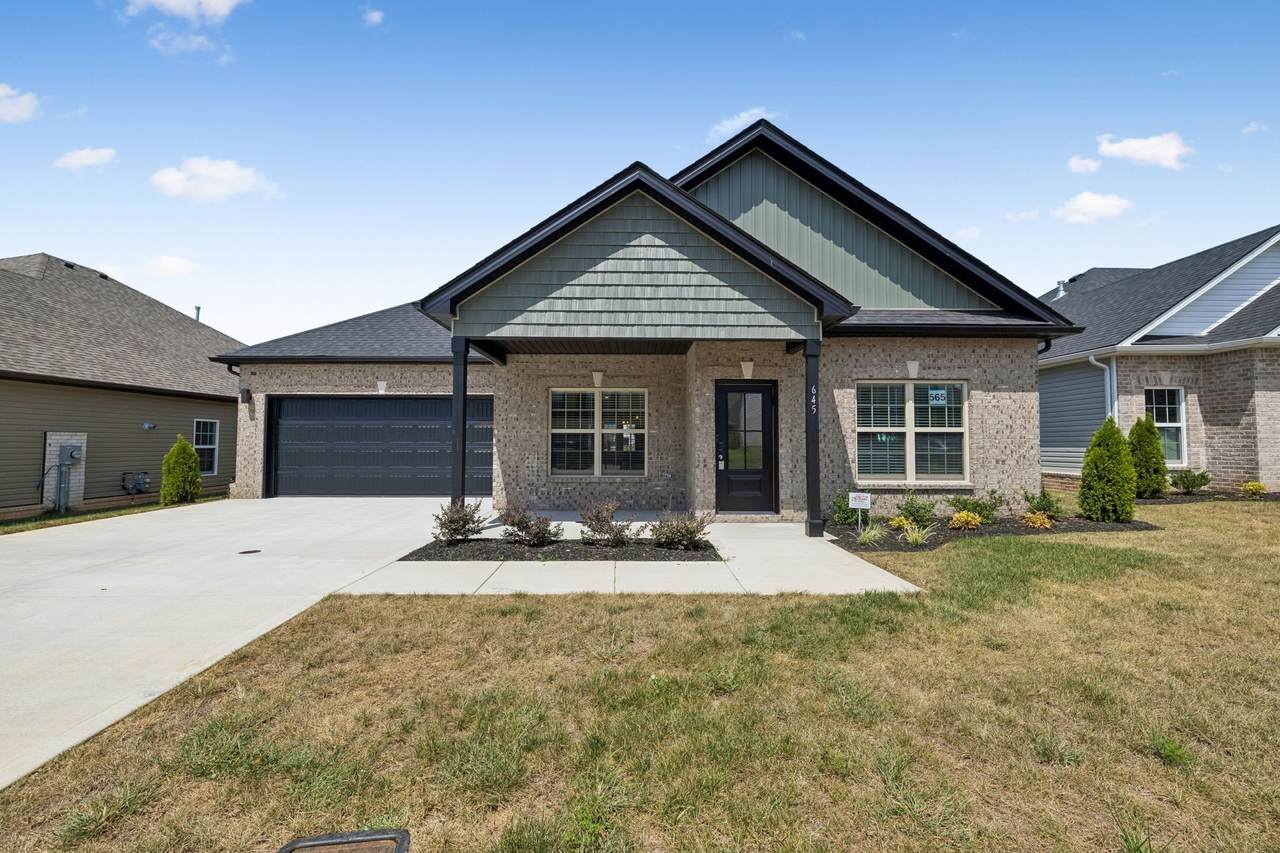 645 Woodrush Dr - Photo 1
