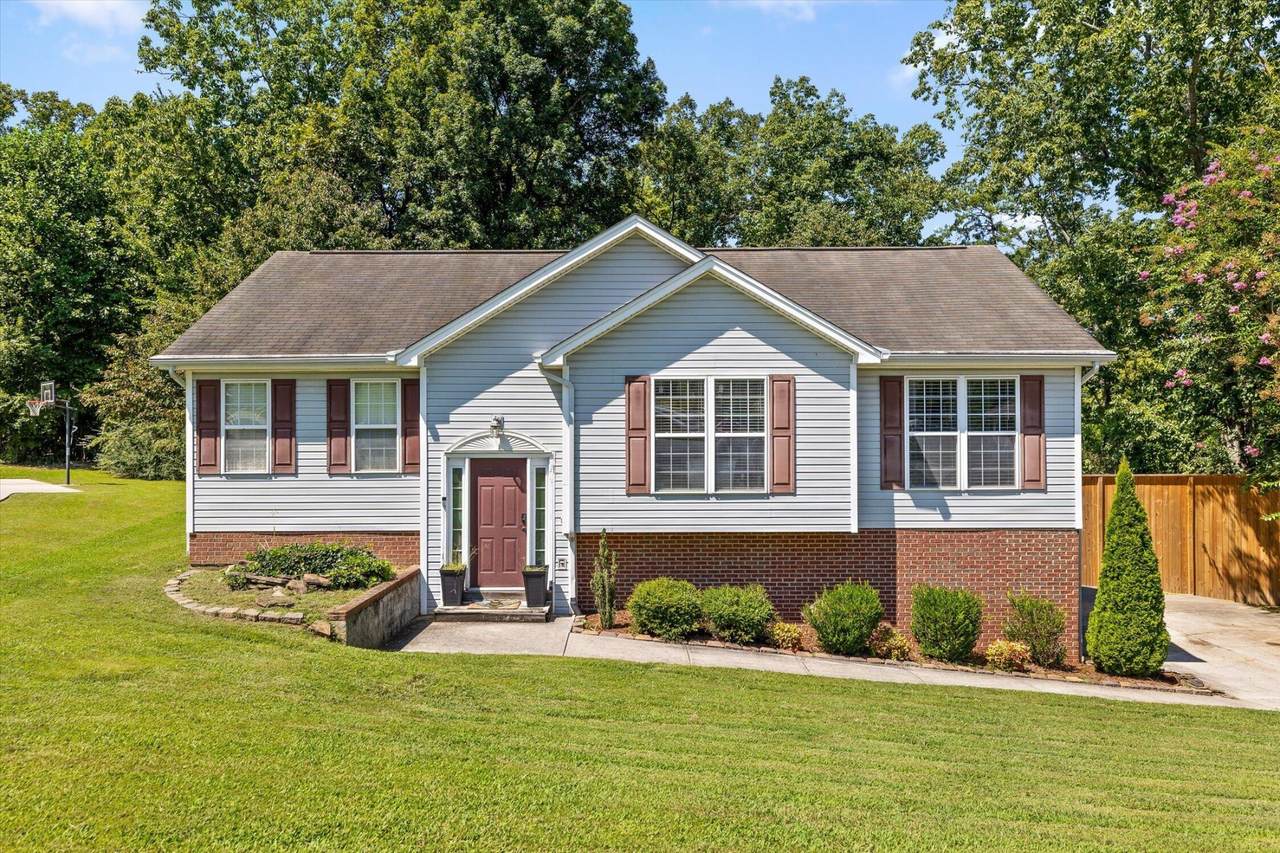 1999 Hardwood Lane - Photo 1