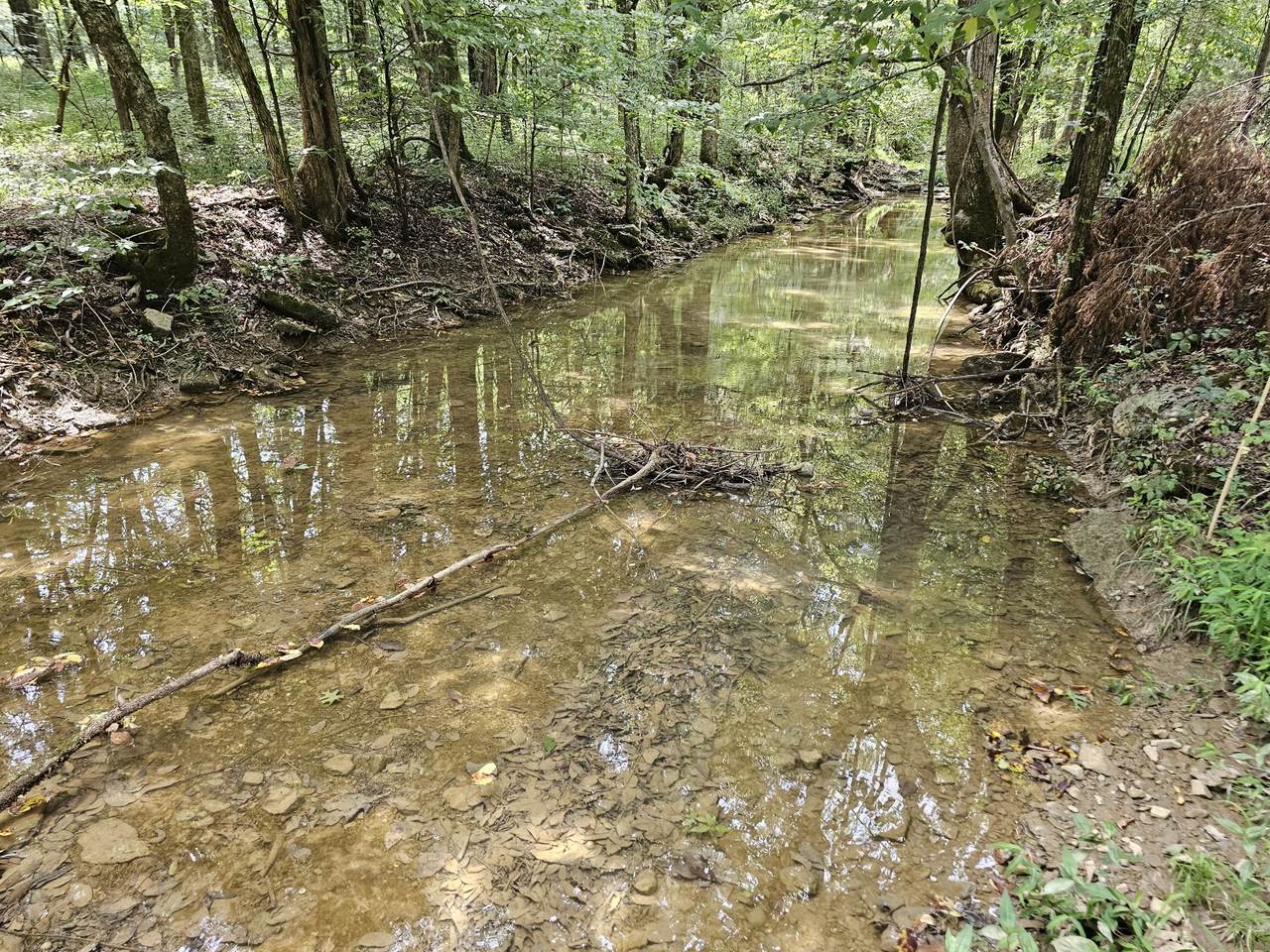 0 Whitfield Hollow Road - Photo 1