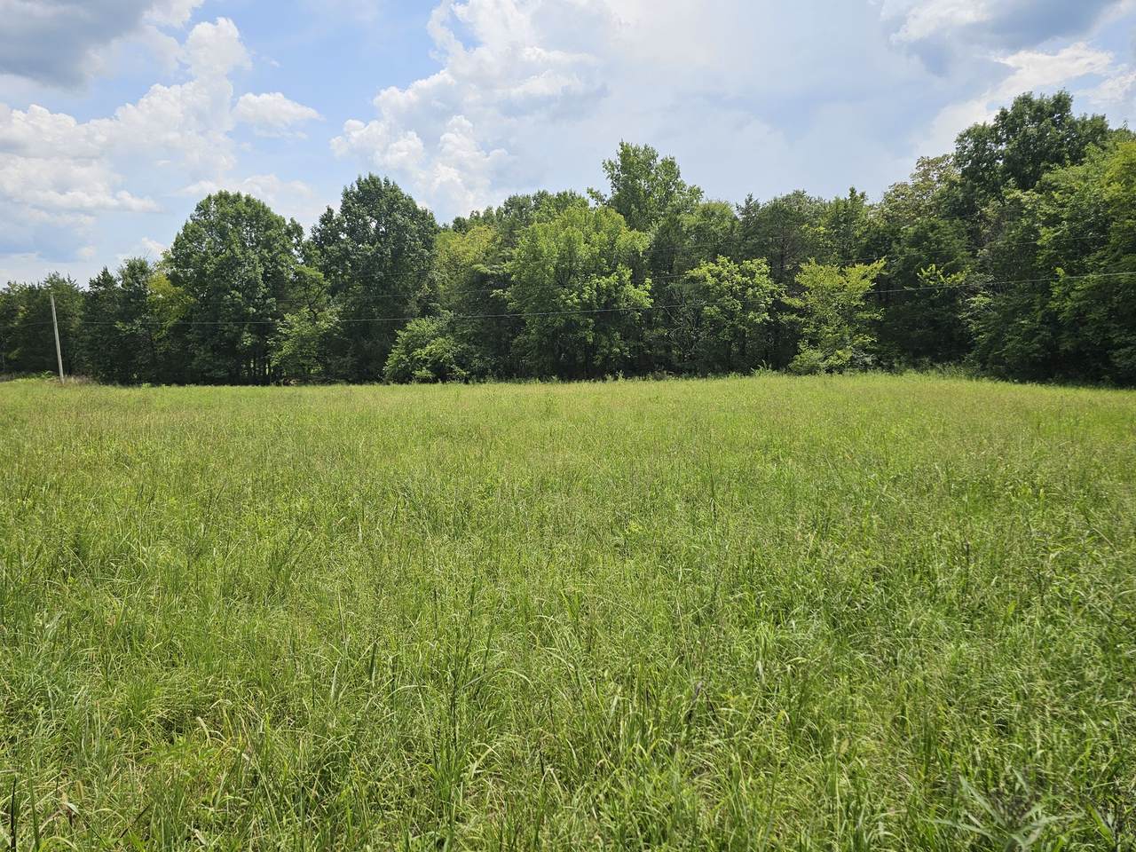 https://bt-photos.global.ssl.fastly.net/nashville/1280_boomver_2_RTC3518788-1.jpg