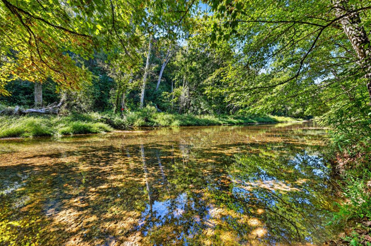 160 Backside Beaverdam Road - Photo 1