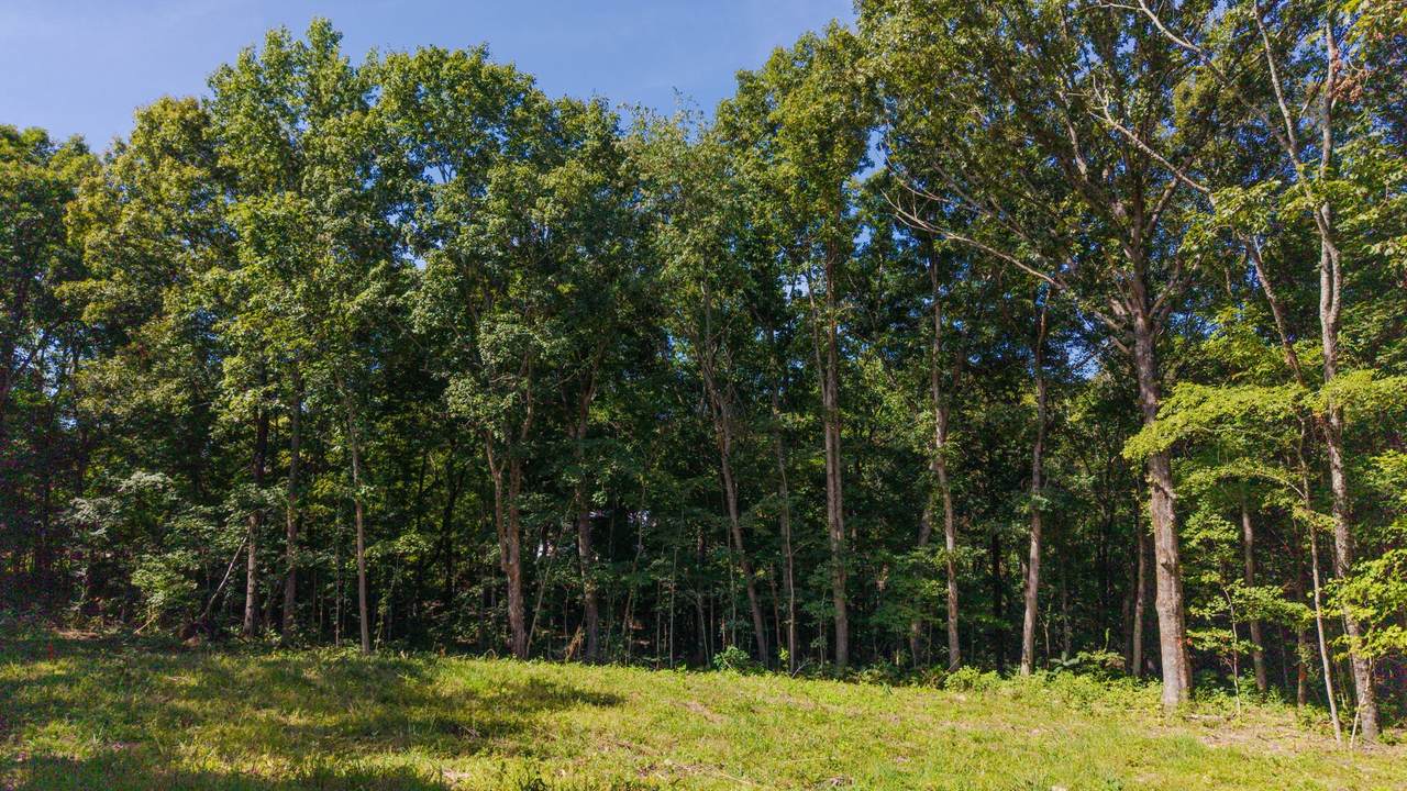 4538 Old Metal Rd - Photo 1