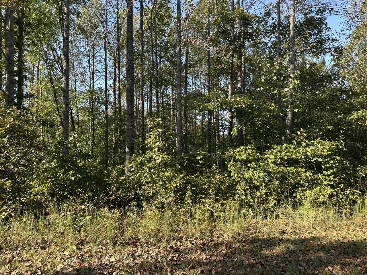 2100 Highway 13 - Photo 1