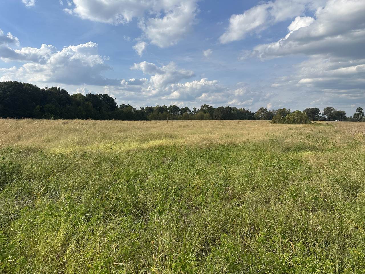 0 Pendergrass Rd - Photo 1