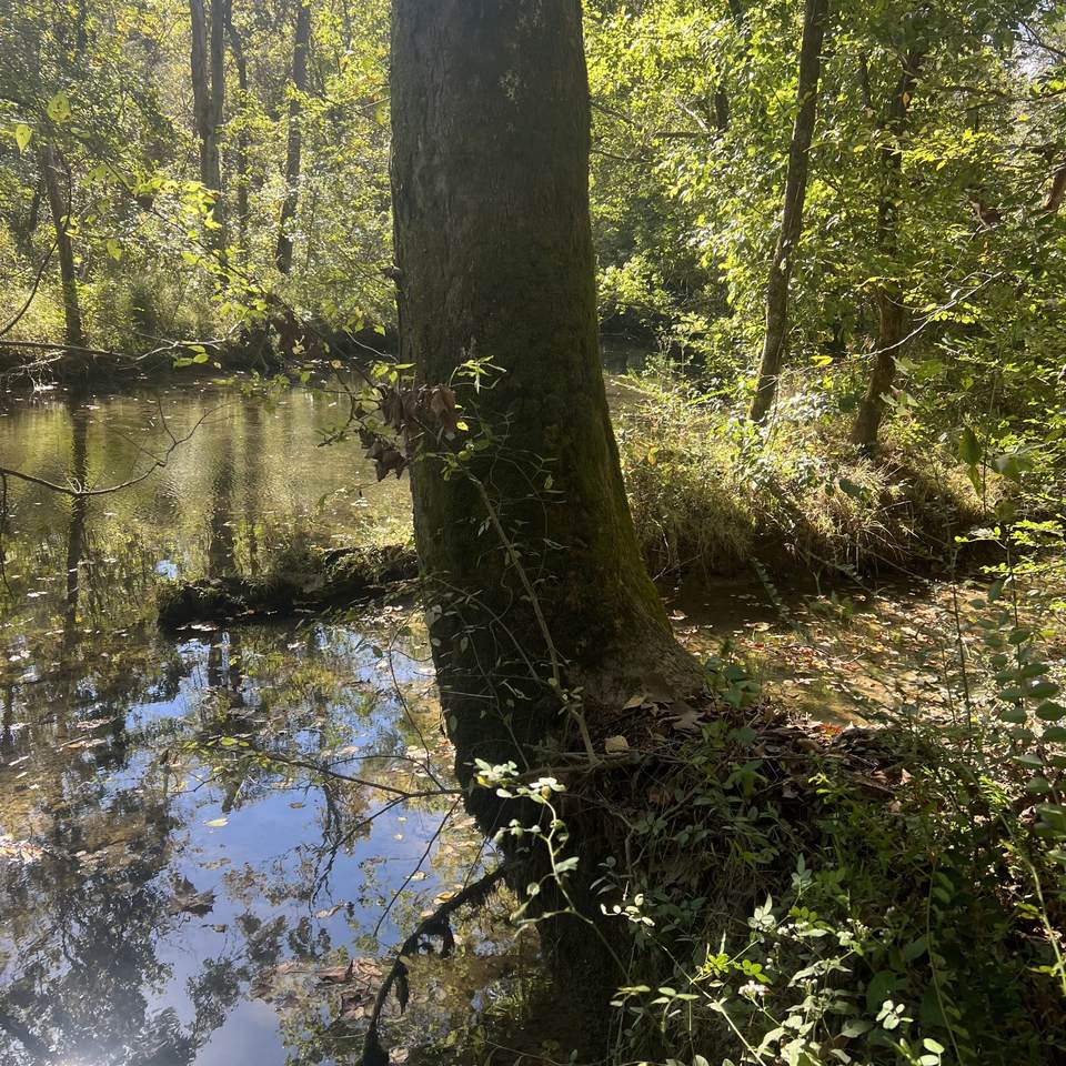 0 Shelbyville Rd - Photo 1