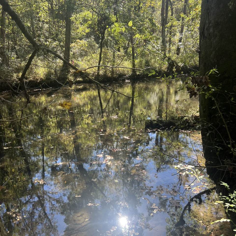 https://bt-photos.global.ssl.fastly.net/nashville/1280_boomver_2_RTC3610517-1.jpg