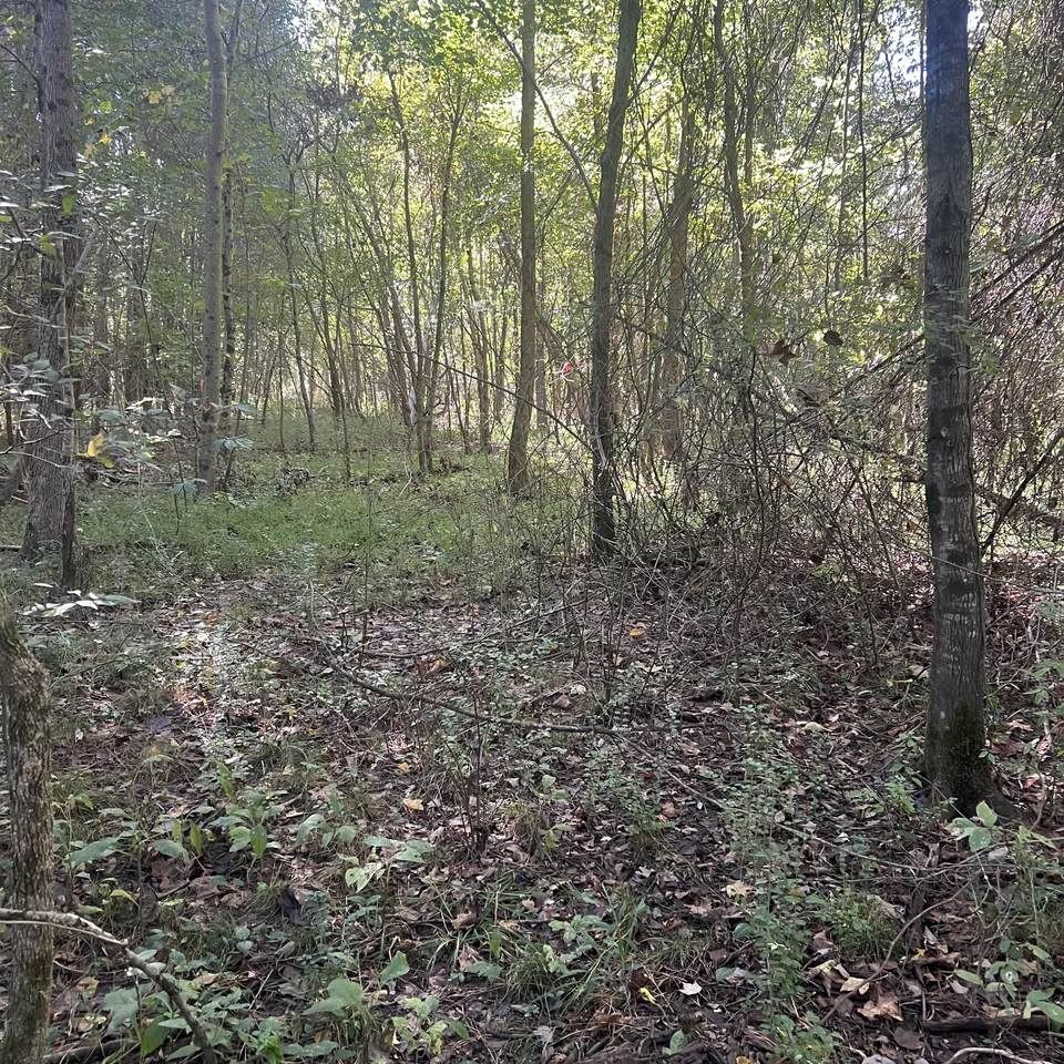 https://bt-photos.global.ssl.fastly.net/nashville/1280_boomver_2_RTC3610517-1.jpg