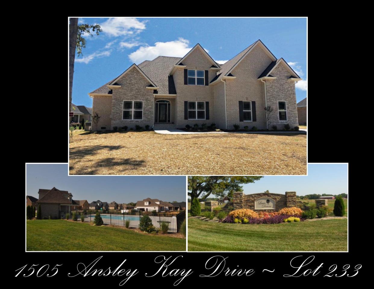 1505 Ansley Kay Drive - Lot 233 - Photo 1