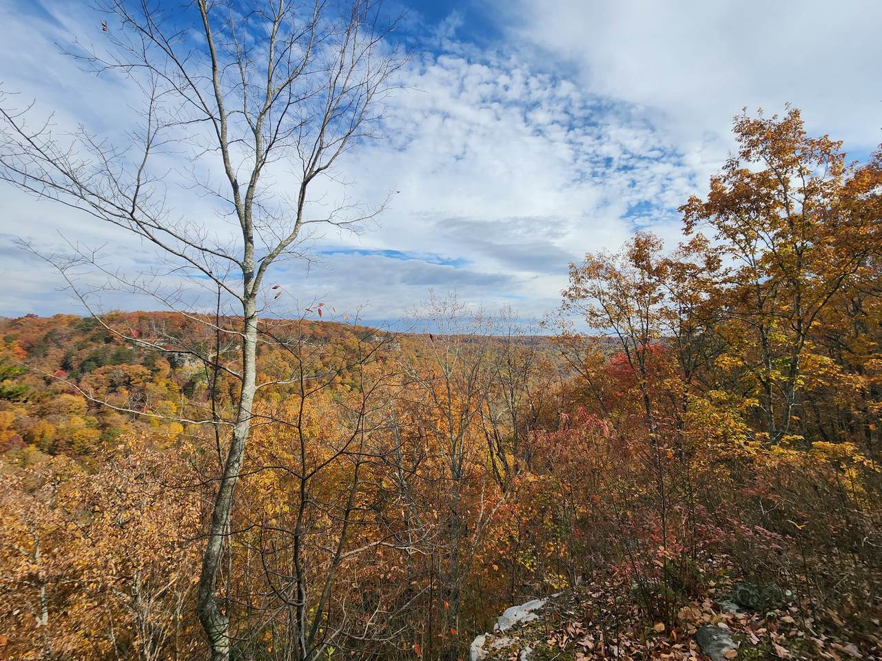 5 Bridal Veil S - Photo 1