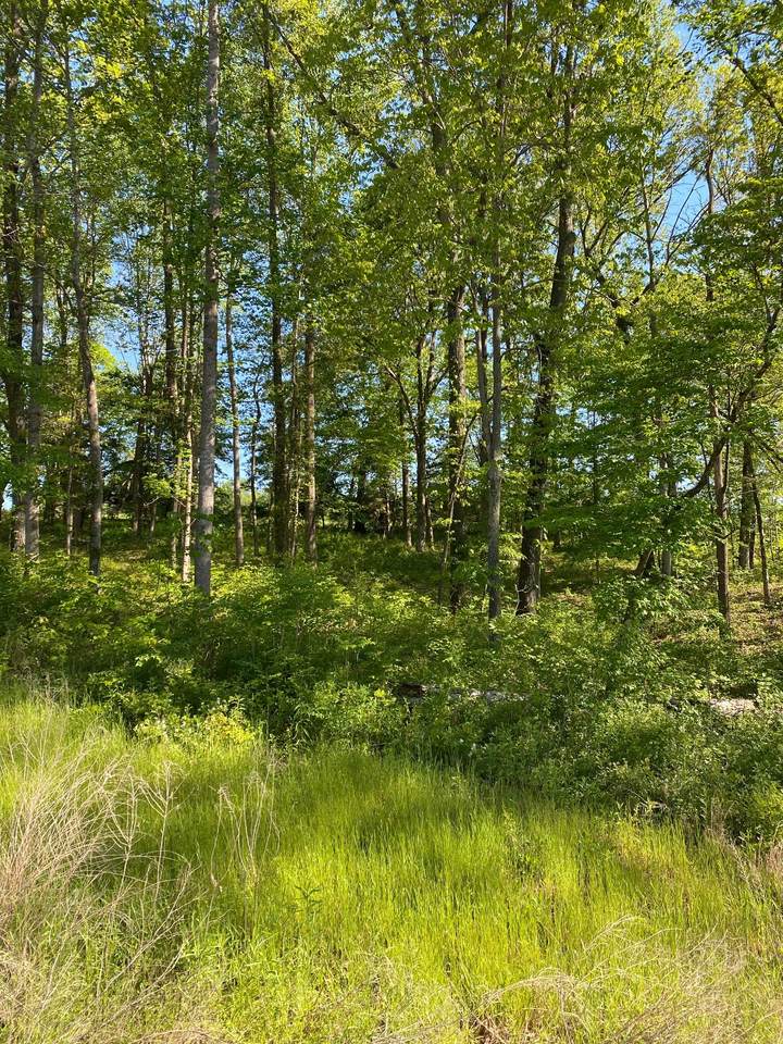 0 Hillside Dr - Photo 1