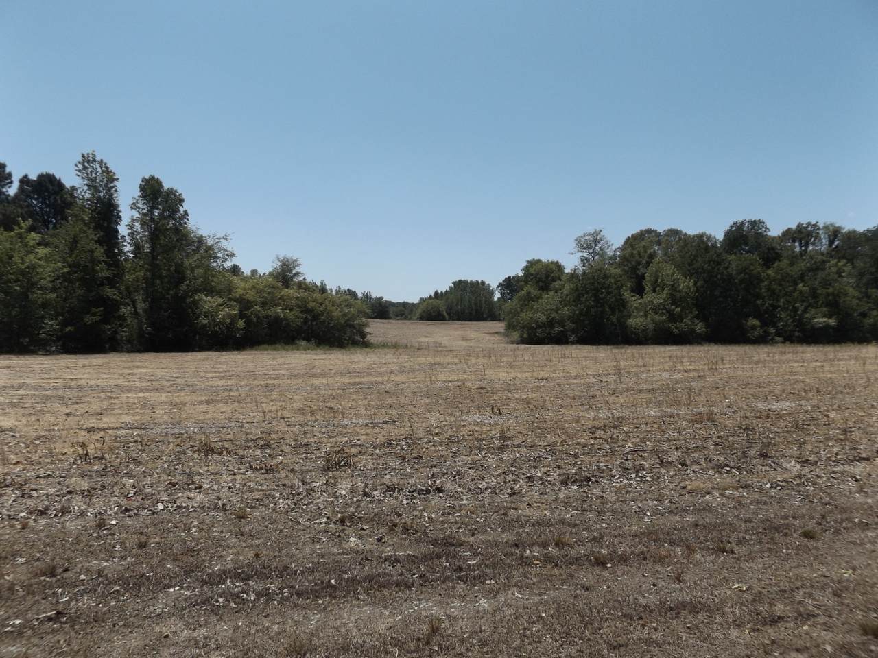 1125 Miller Ln - Photo 1
