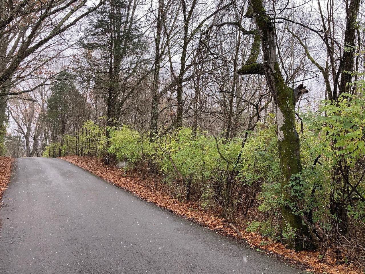 717 Riverview Rd - Photo 1