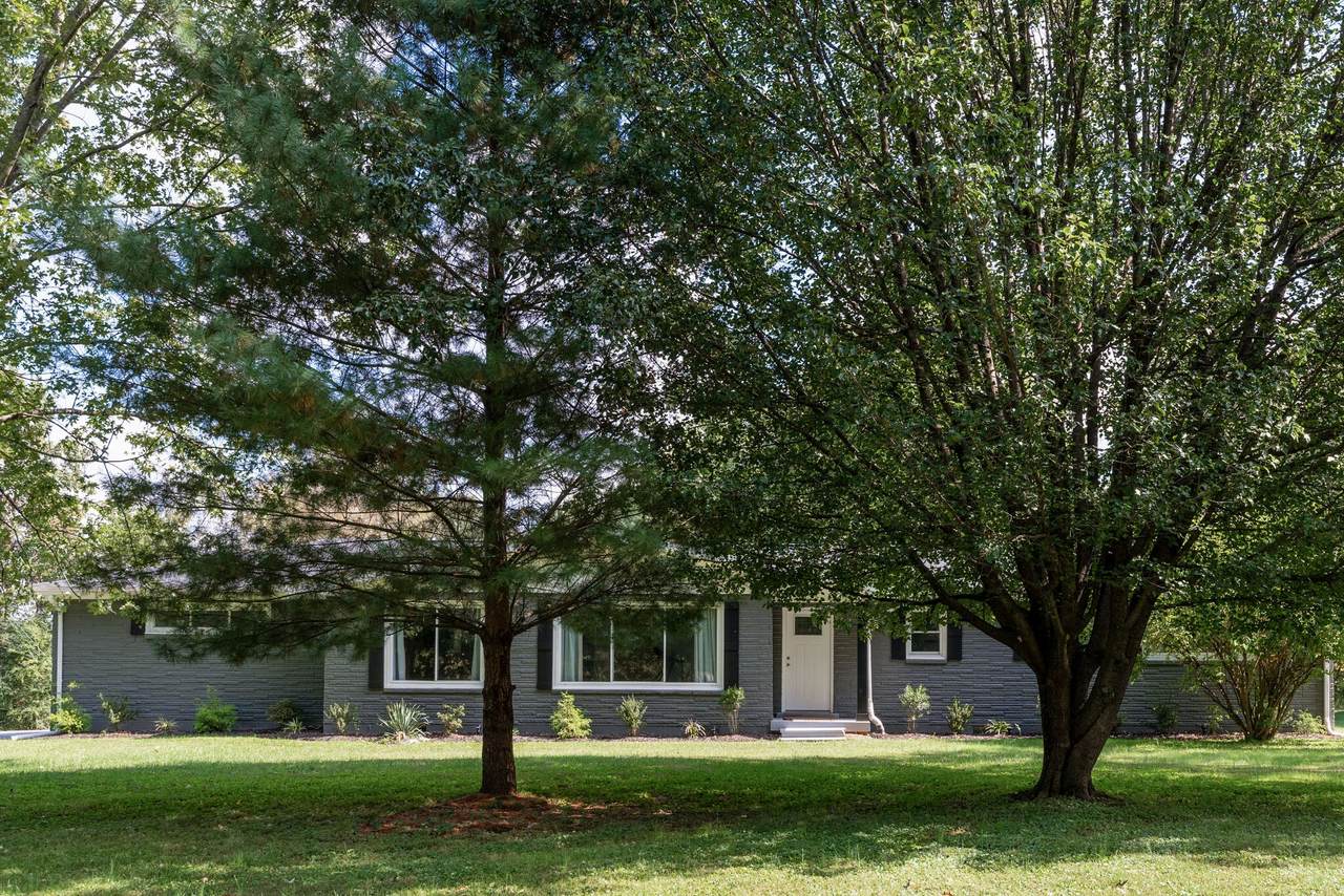 1180 Old Pinnacle Rd - Photo 1