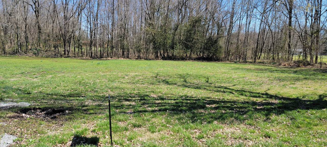 5151 Guildfield Church Rd - Photo 1
