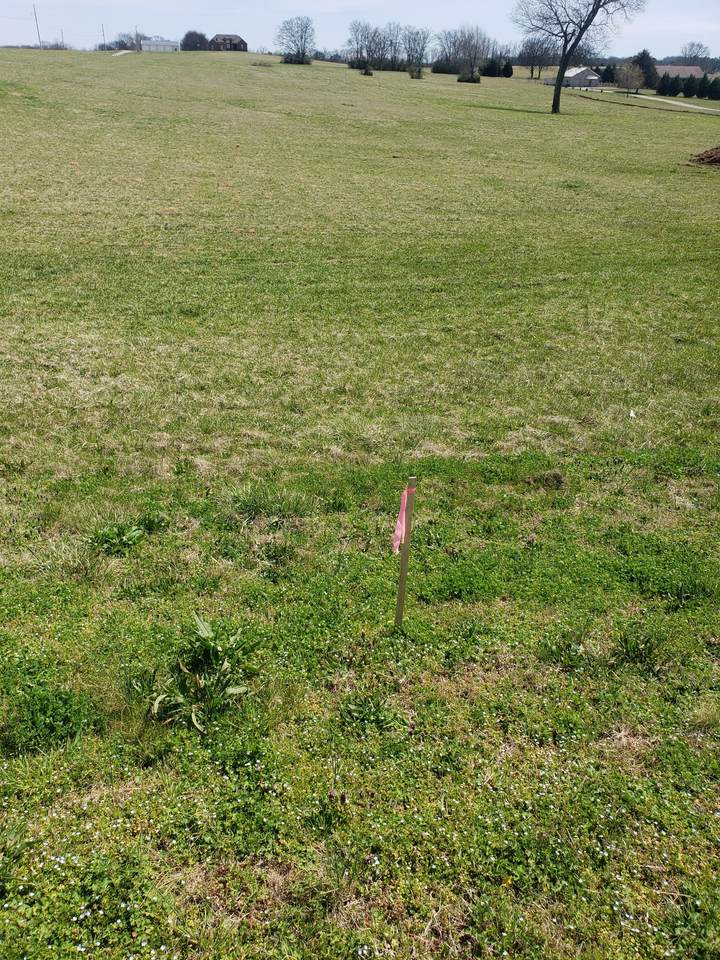 0 Campbellsville Pike - Photo 1
