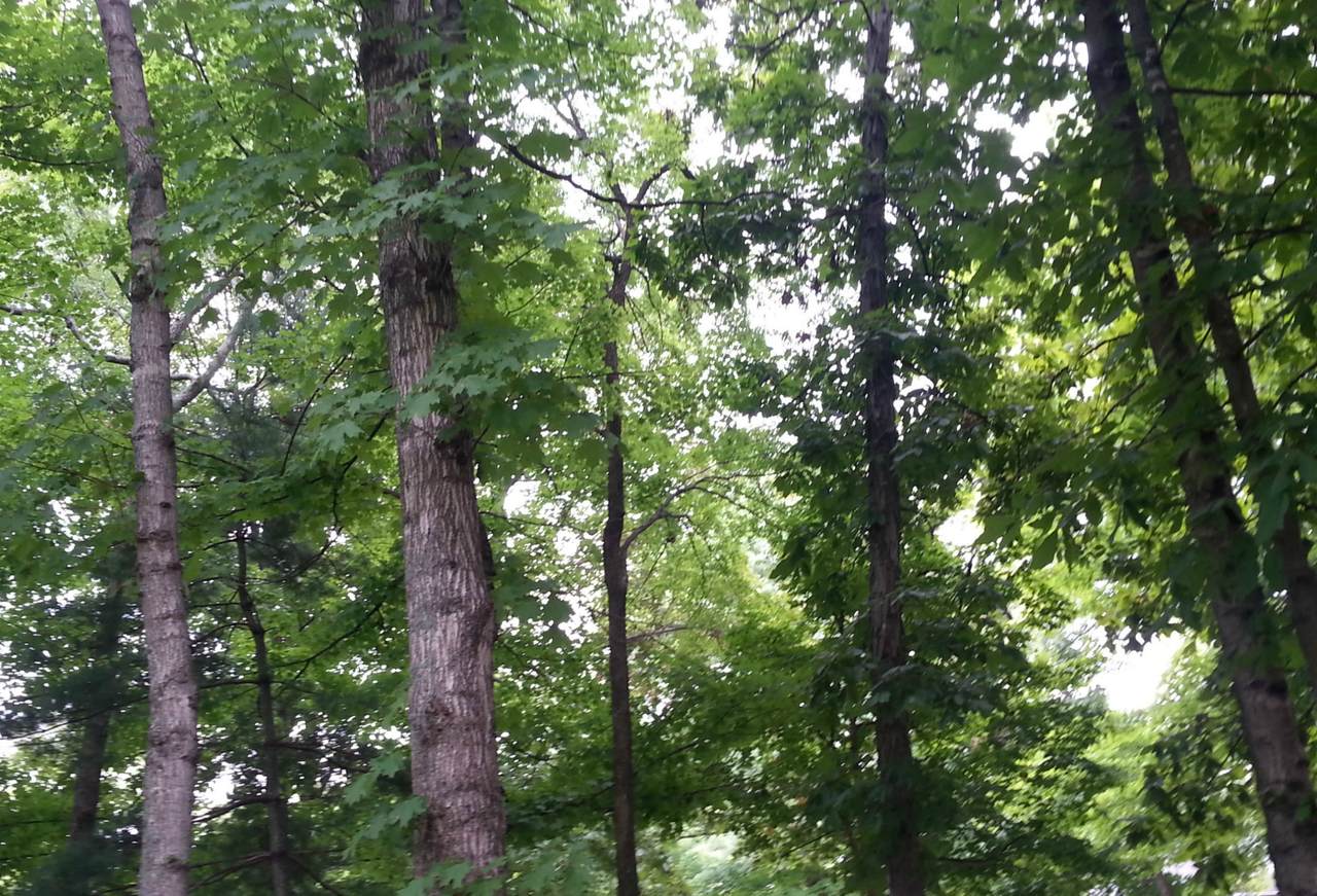 887 Chapel Hill Pike - Photo 1