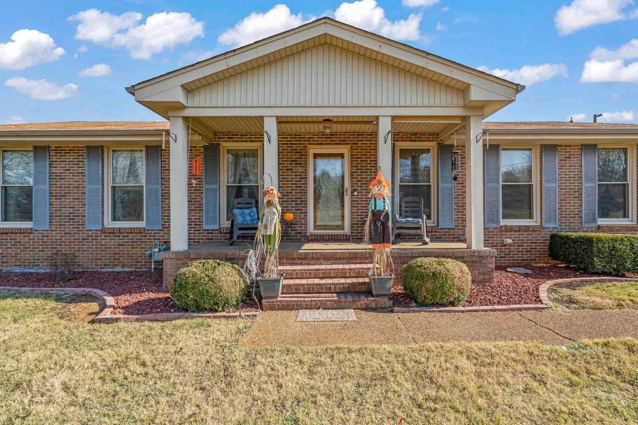 2029 Sparta Pike - Photo 1