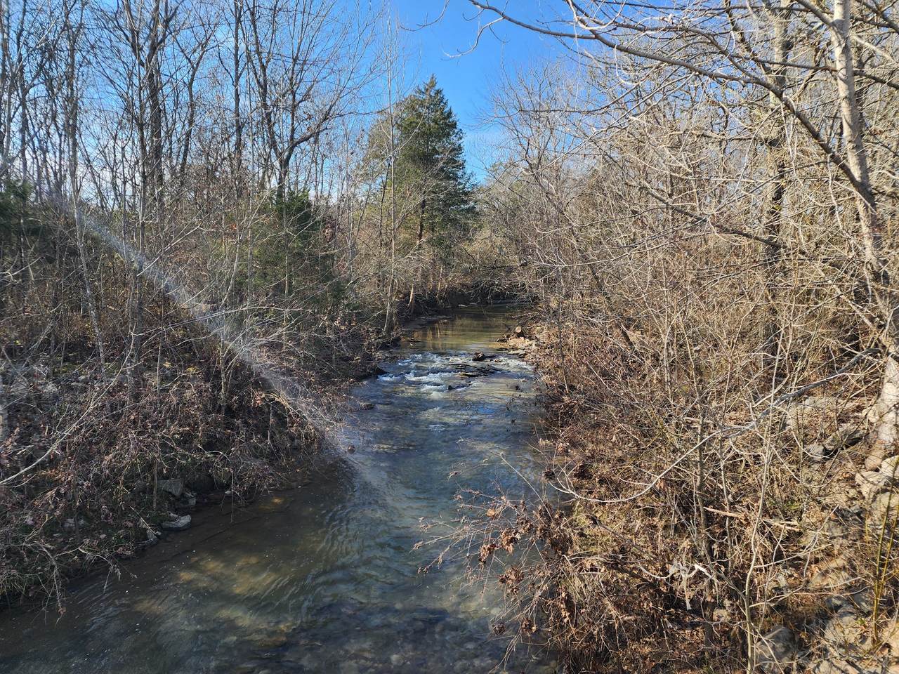 0 Joe Brown Rd - Photo 1