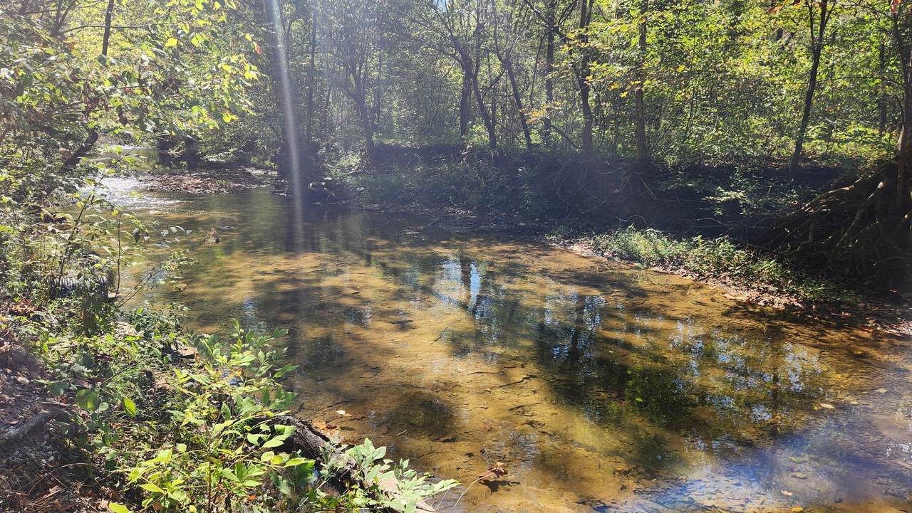 1475 Puncheon Creek Rd - Photo 1