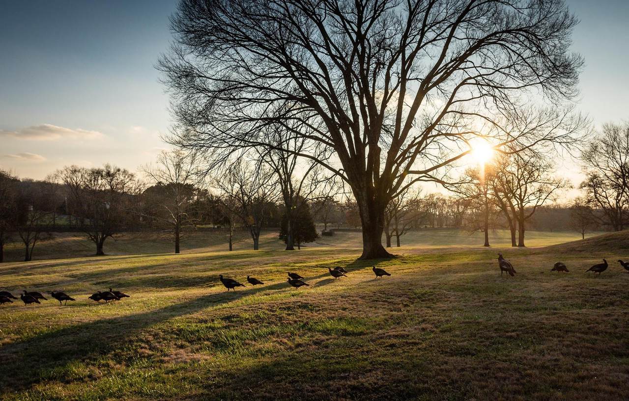 9237 Nina Ct - Photo 1