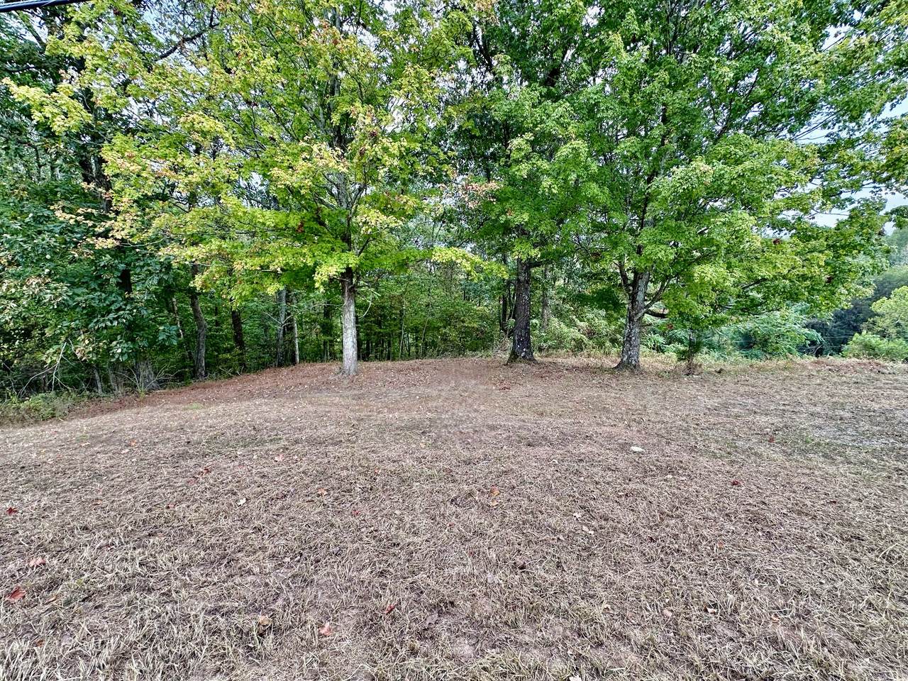 https://bt-photos.global.ssl.fastly.net/nashville/1280_boomver_3_RTC2707368-1.jpg