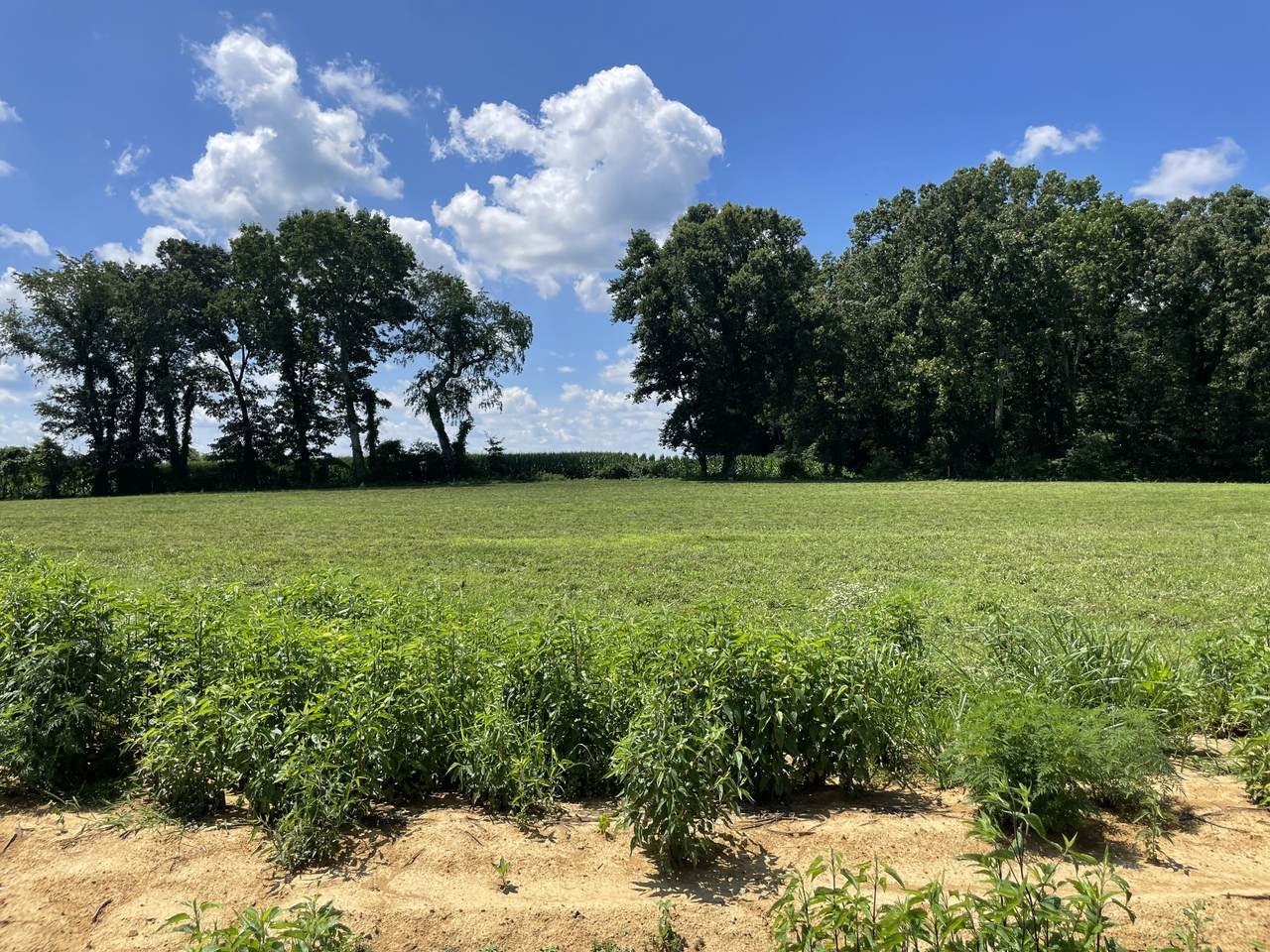 0 Hidden Hills Lane - Photo 1