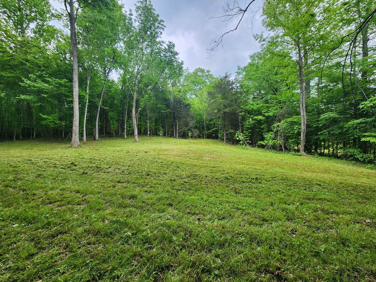 0 Tinin Rd - Photo 1