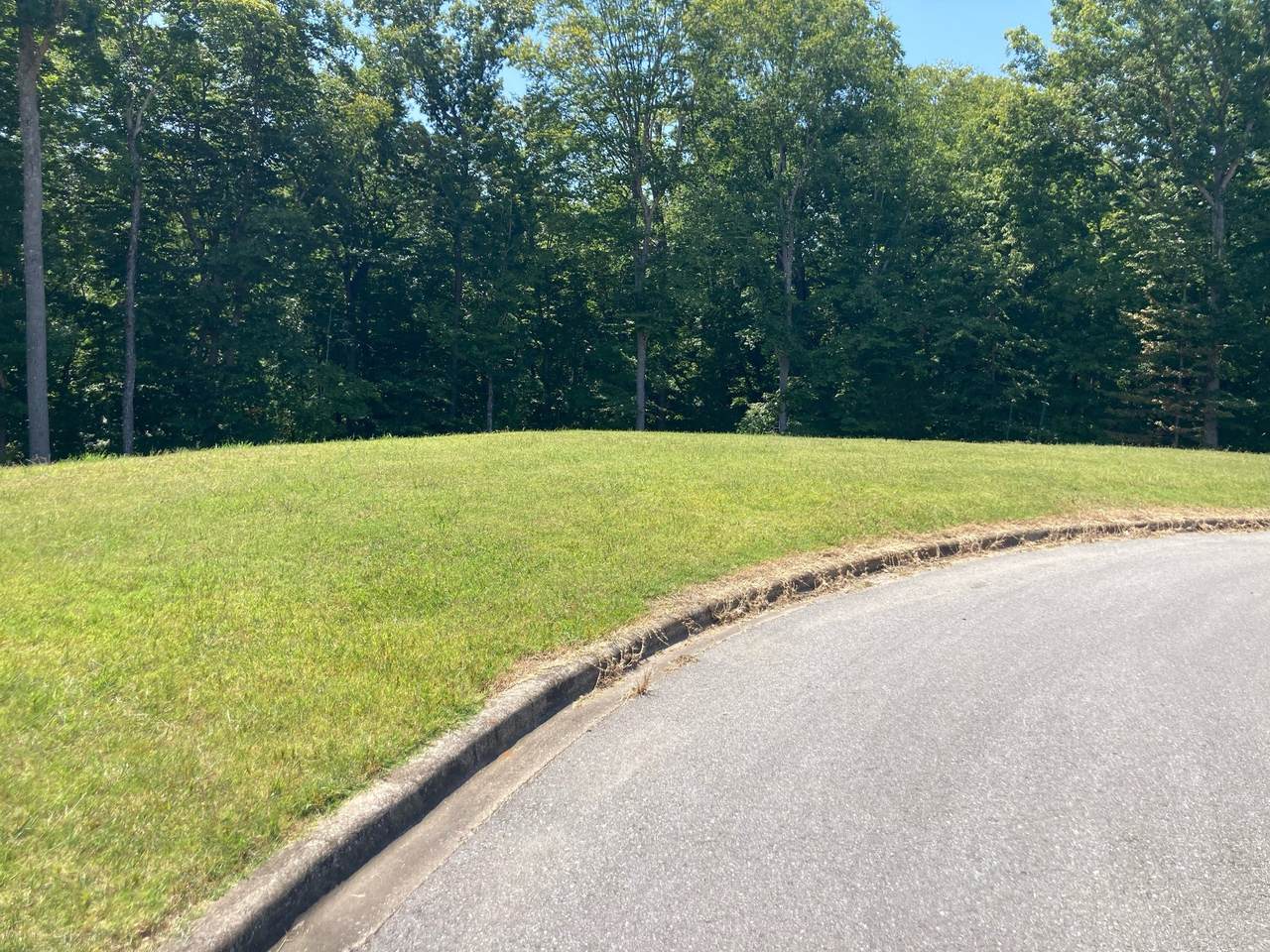 168 Steeple Ridge Way - Photo 1