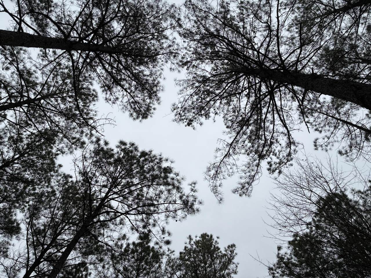 3715 Split Rail Way - Photo 1