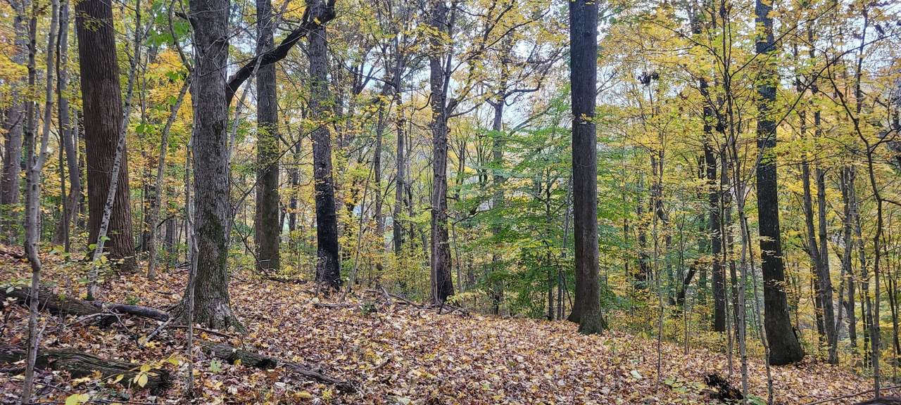 1 Sugar Ridge Rd - Photo 1