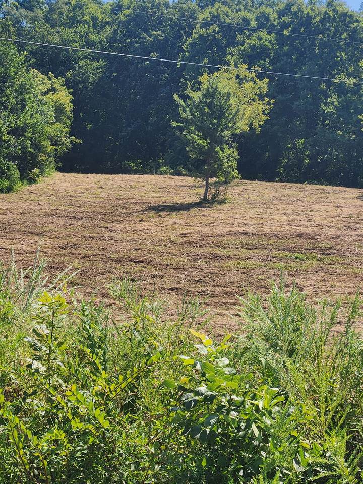 0 Hix Road - Photo 1