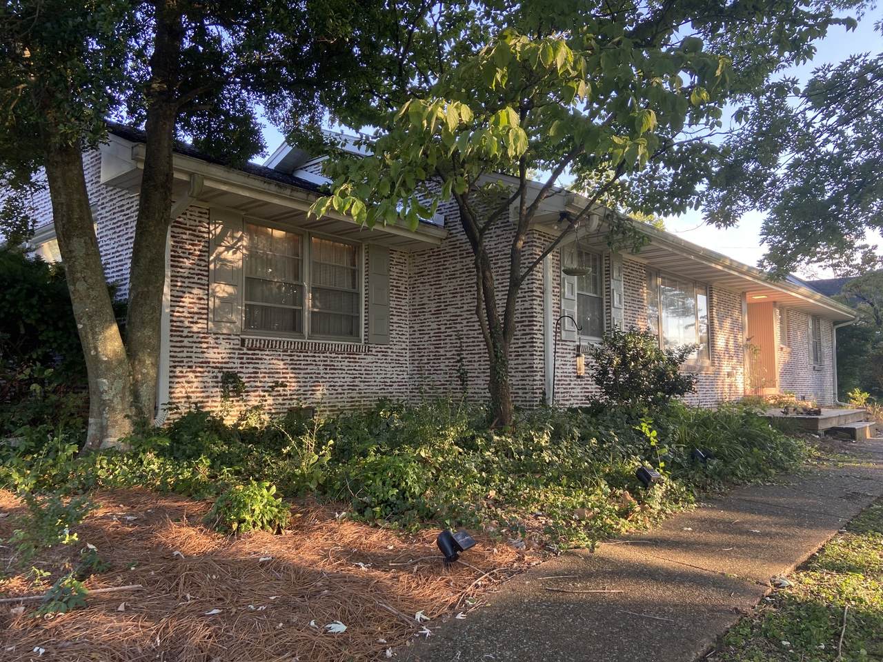 215 Moss Trl - Photo 1