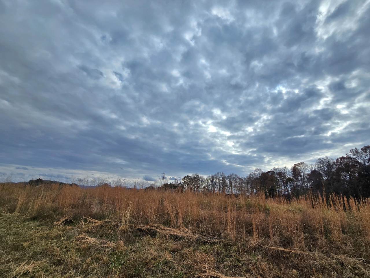 https://bt-photos.global.ssl.fastly.net/nashville/1280_boomver_3_RTC3042823-1.jpg