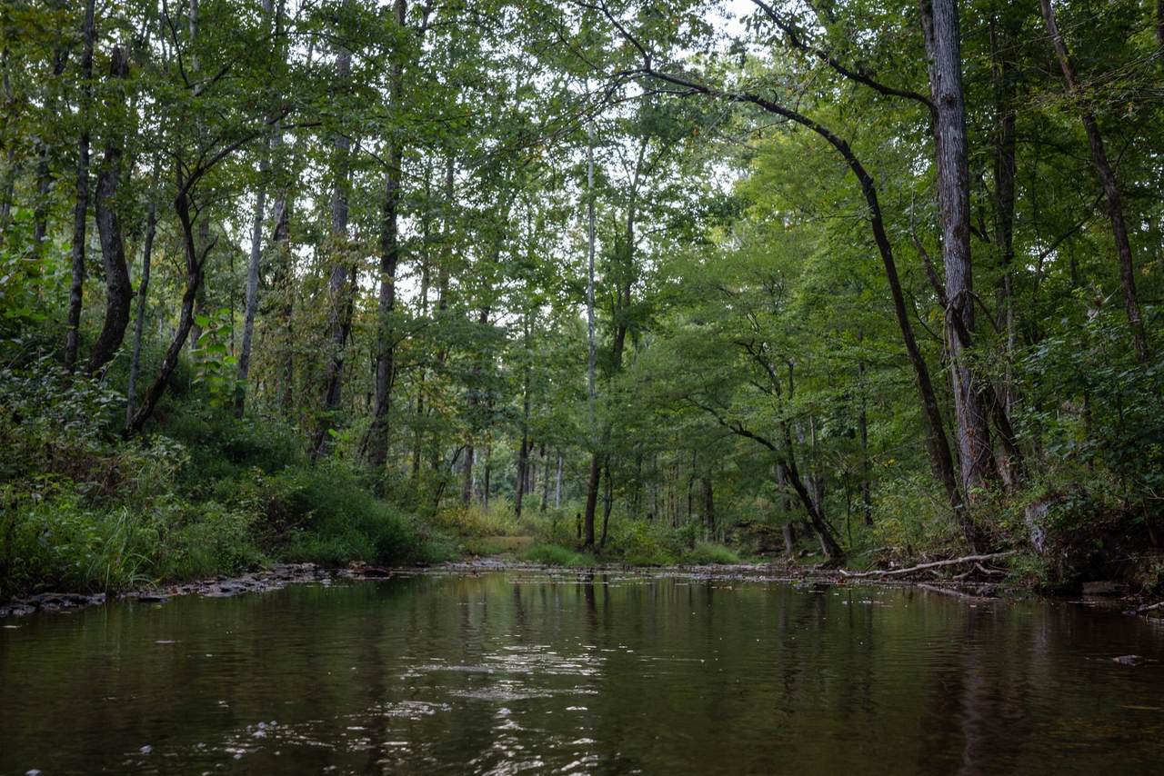 https://bt-photos.global.ssl.fastly.net/nashville/1280_boomver_3_RTC3045877-1.jpg