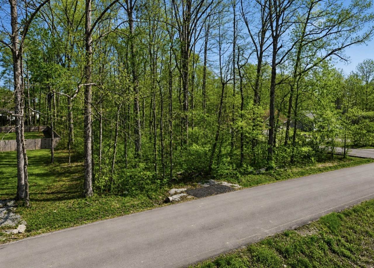 0 Forrestwood Dr - Photo 1