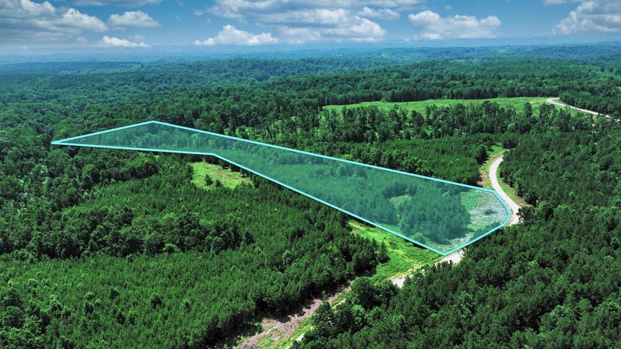 0 Cox Hollow - Photo 1