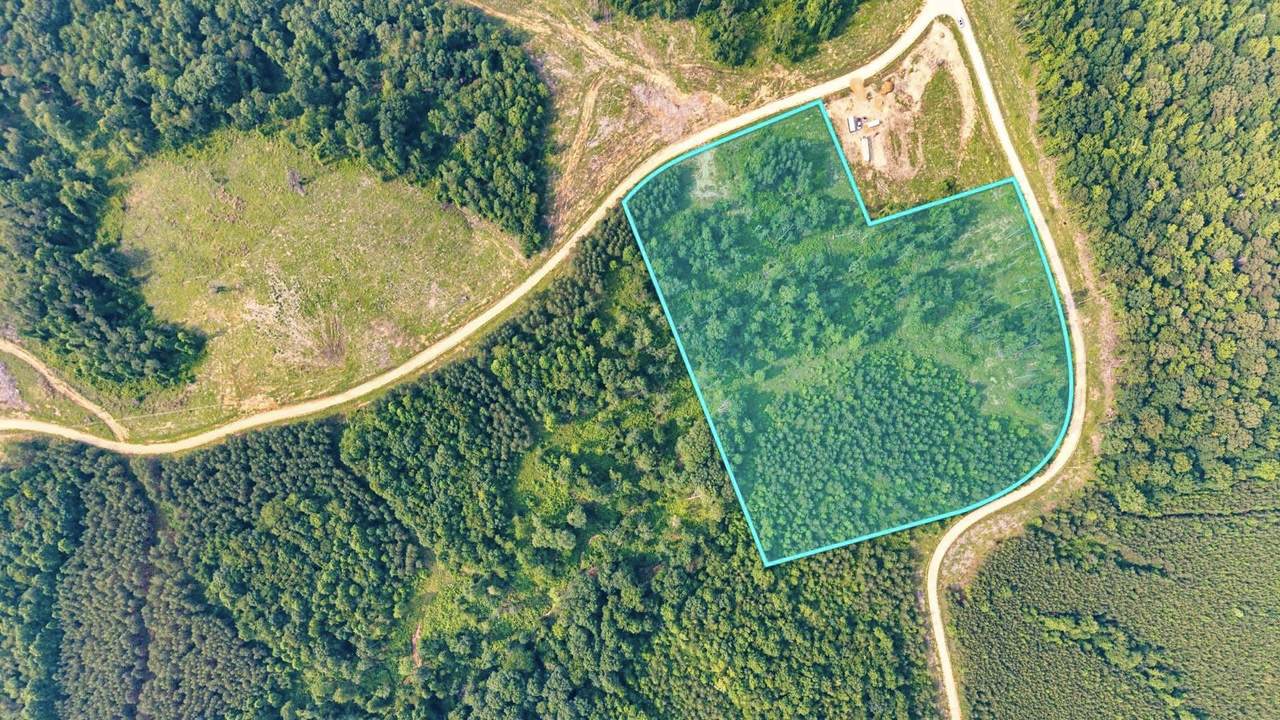 0 Cox Hollow - Photo 1
