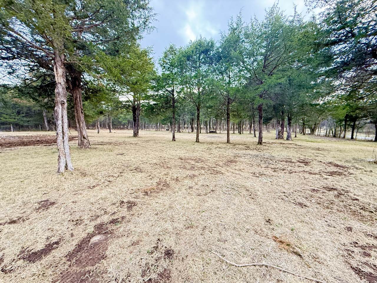 160 Osteen Ln - Photo 1