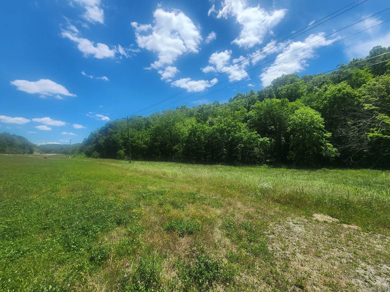 0 Savannah Hwy - Photo 1