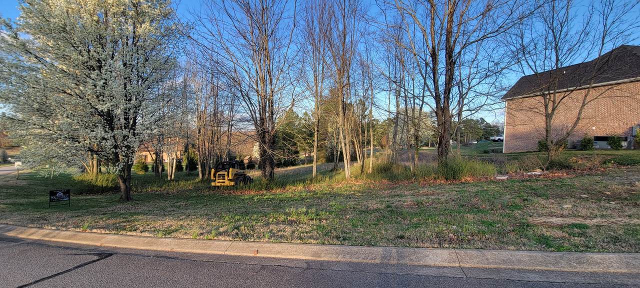 0 Country Club Drive - Photo 1