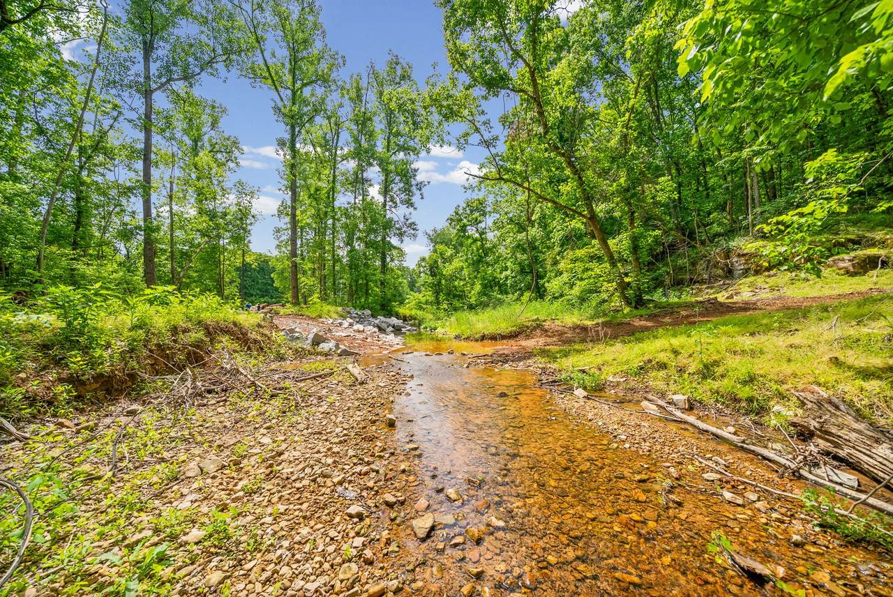 1 Budds Creek Road - Photo 1